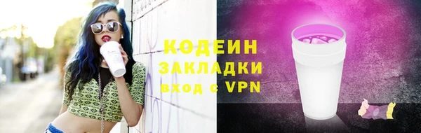 соль ск Тында