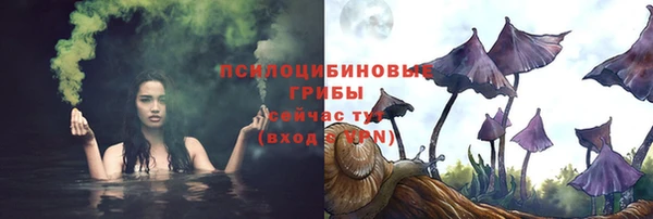 прущий лед Тобольск