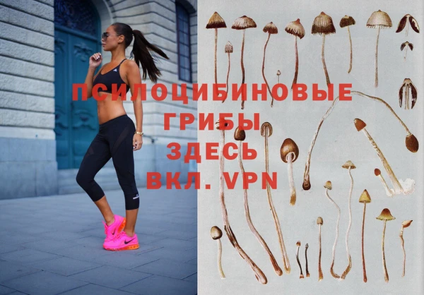прущий лед Тобольск