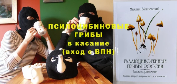 амф Туринск