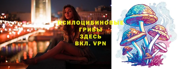 МДПВ Тихвин