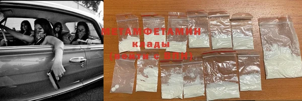 индика Осинники