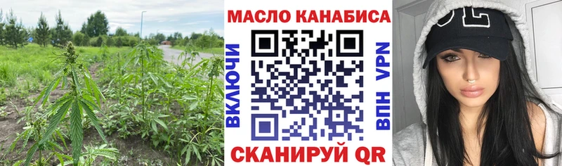 ТГК гашишное масло  ссылка на мегу вход  Шелехов 