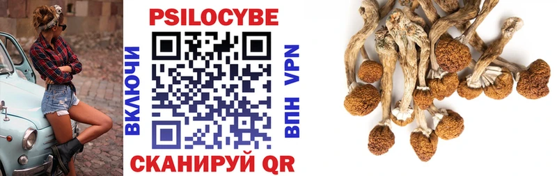 Псилоцибиновые грибы ЛСД  Шелехов 